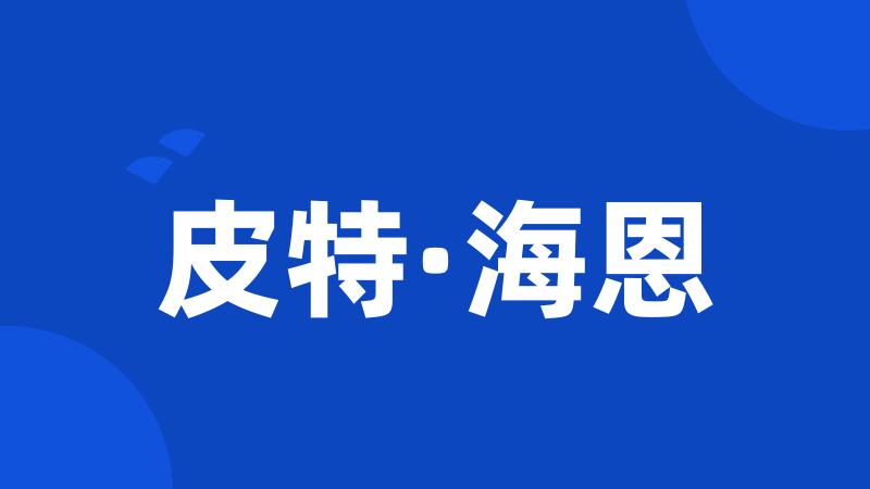皮特·海恩