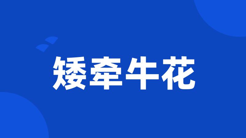 矮牵牛花