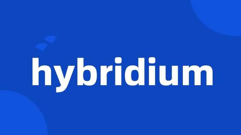 hybridium