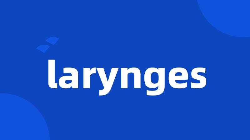 larynges