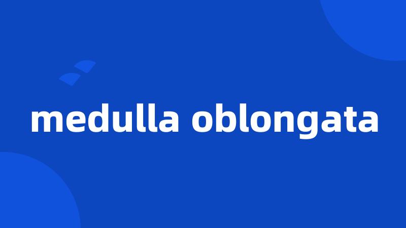 medulla oblongata