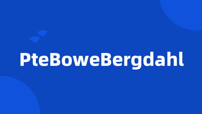 PteBoweBergdahl