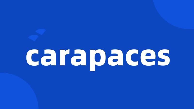 carapaces