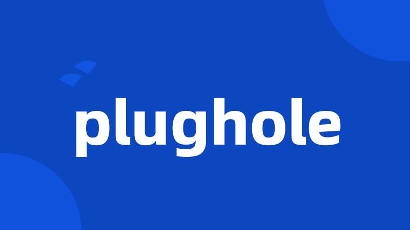 plughole