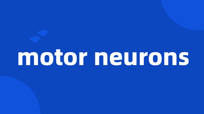 motor neurons