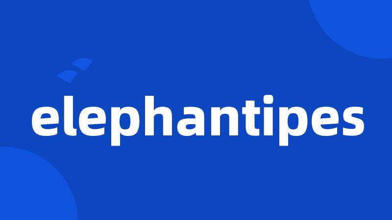 elephantipes