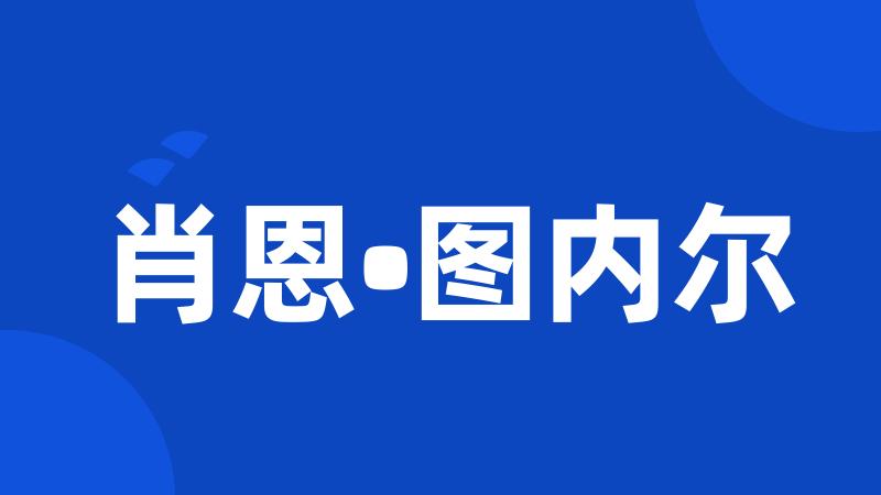 肖恩•图内尔
