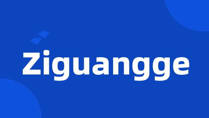 Ziguangge