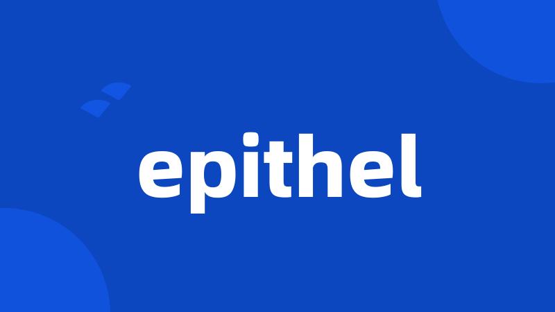 epithel