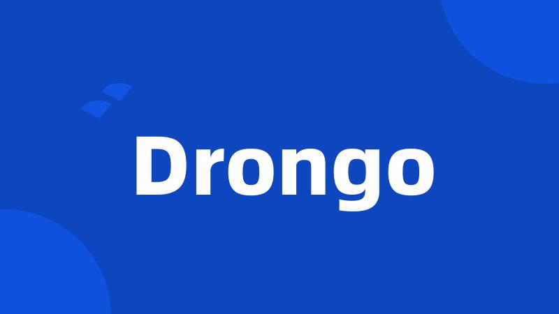 Drongo