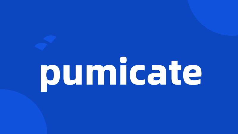 pumicate
