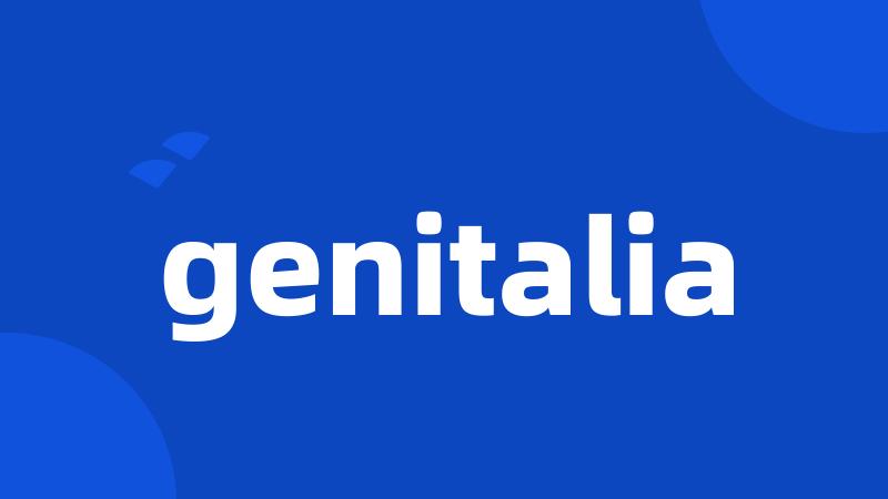 genitalia