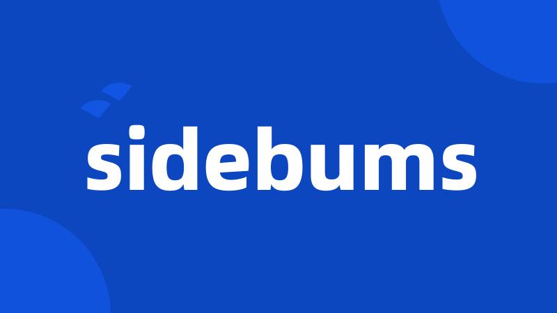 sidebums