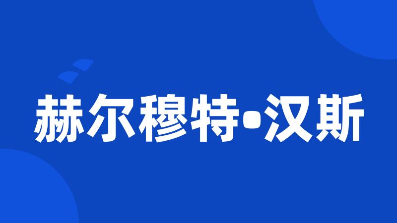赫尔穆特•汉斯