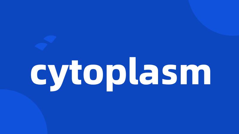 cytoplasm