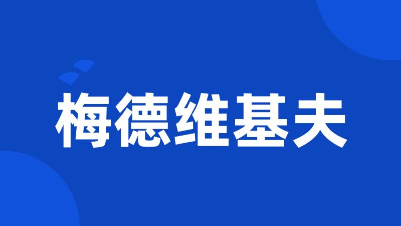 梅德维基夫