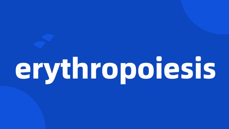 erythropoiesis