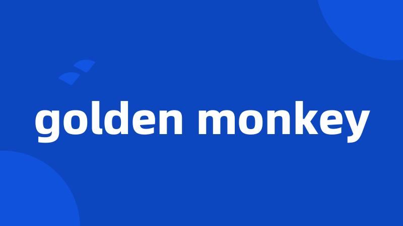 golden monkey