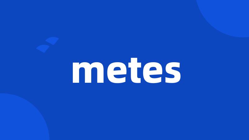 metes