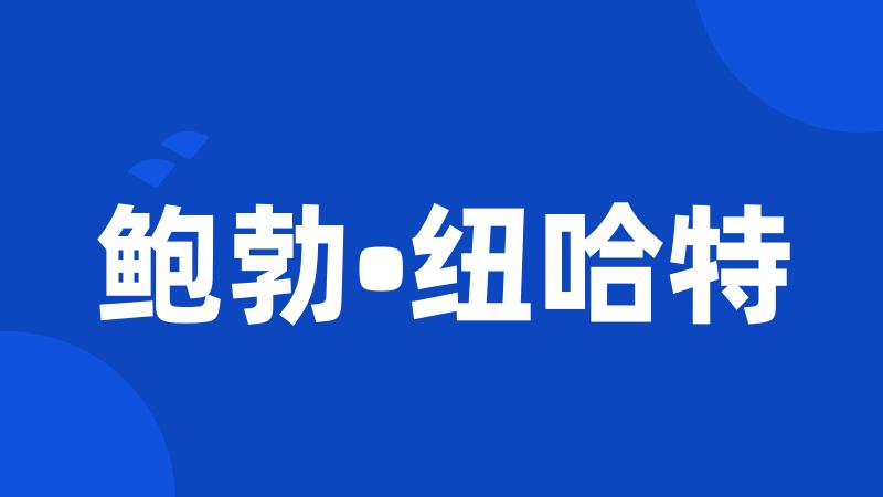 鲍勃•纽哈特