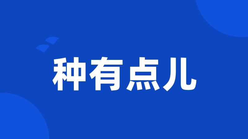 种有点儿