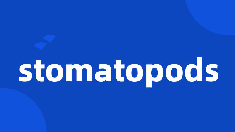 stomatopods