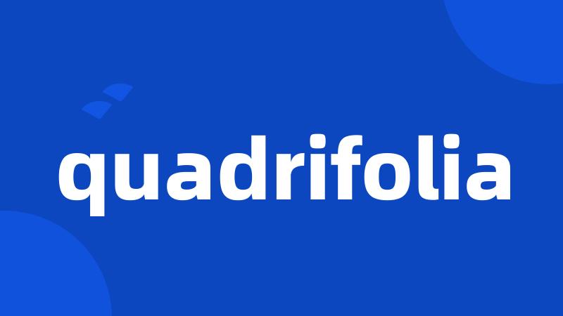 quadrifolia