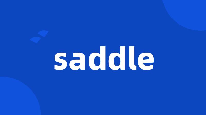 saddle