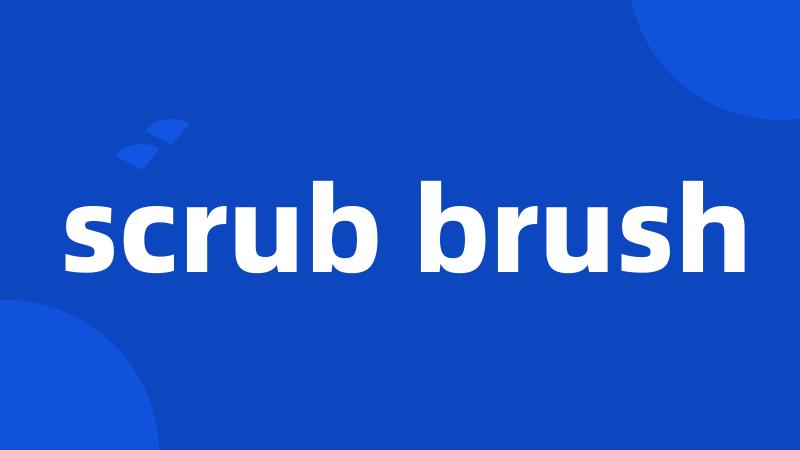 scrub brush
