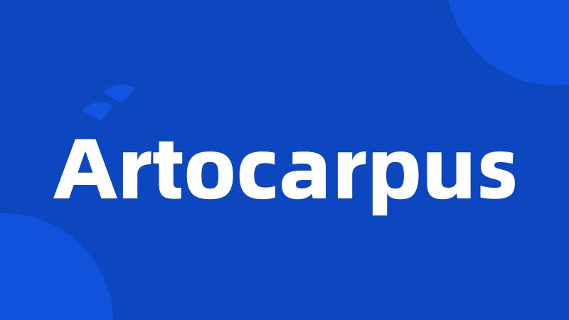 Artocarpus