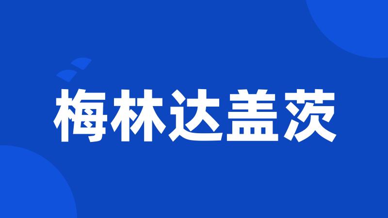 梅林达盖茨