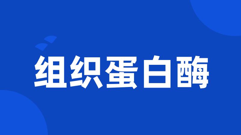 组织蛋白酶