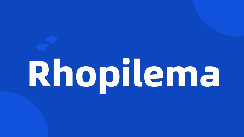 Rhopilema