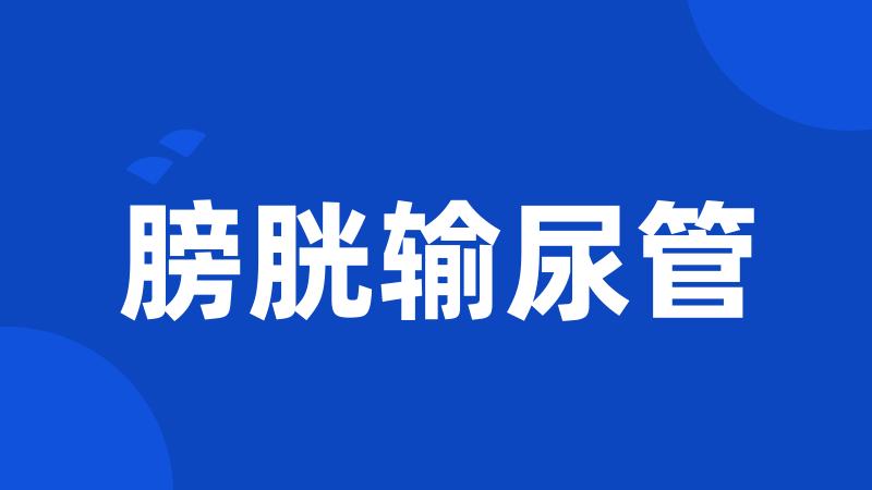 膀胱输尿管