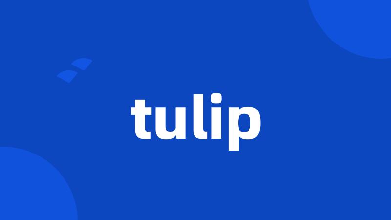 tulip