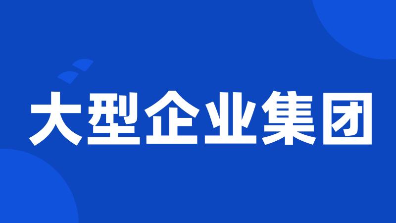 大型企业集团