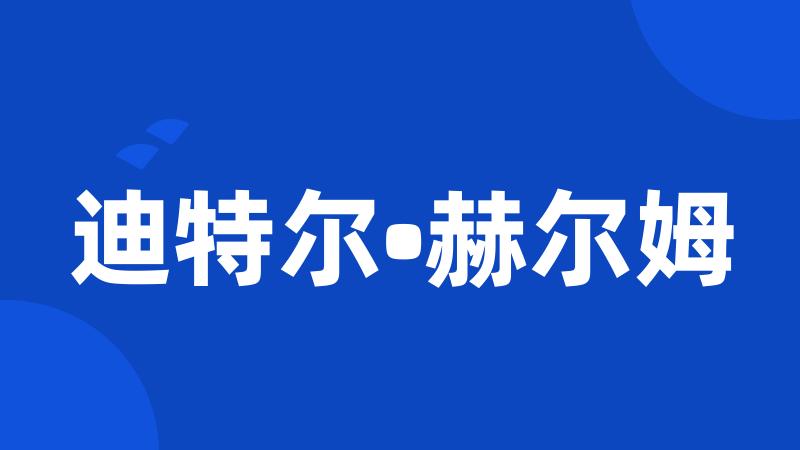 迪特尔•赫尔姆