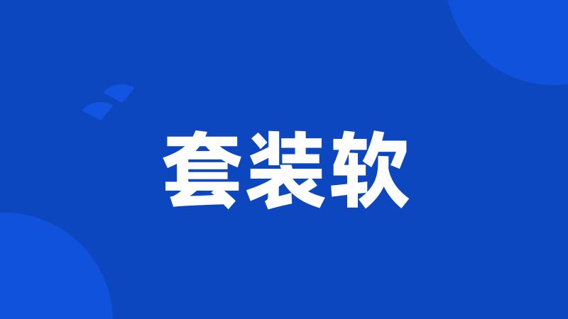 套装软