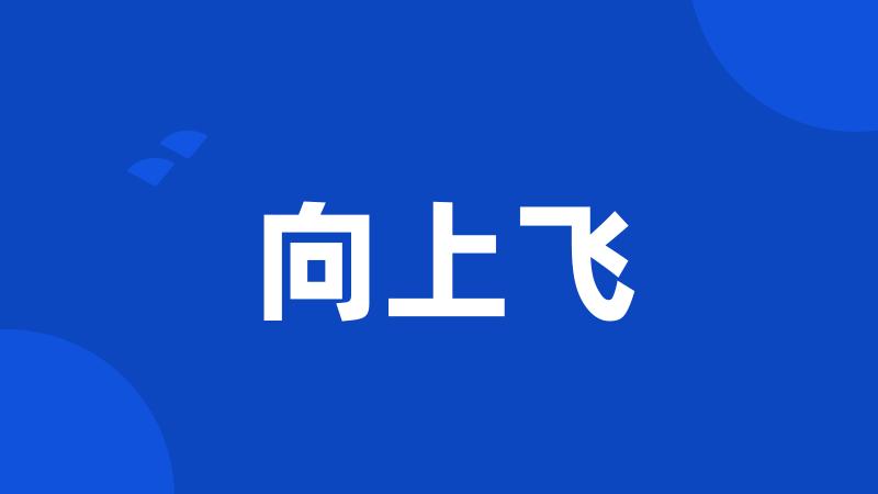 向上飞