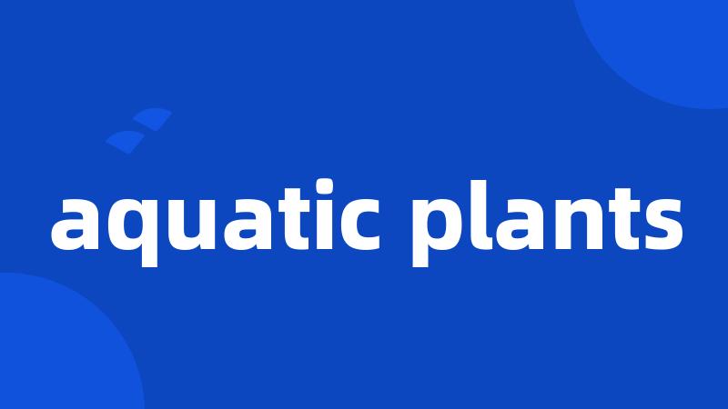 aquatic plants