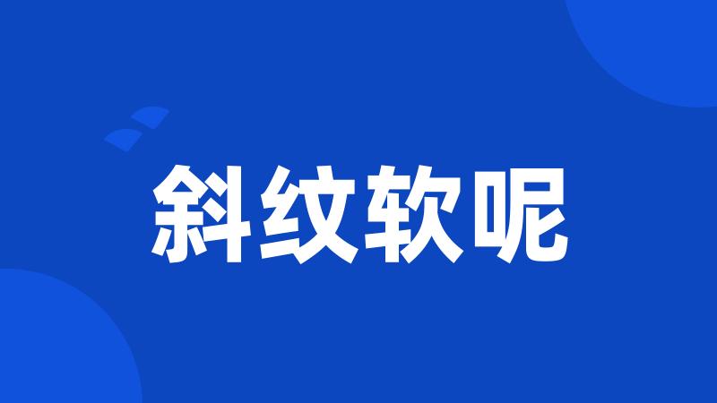 斜纹软呢