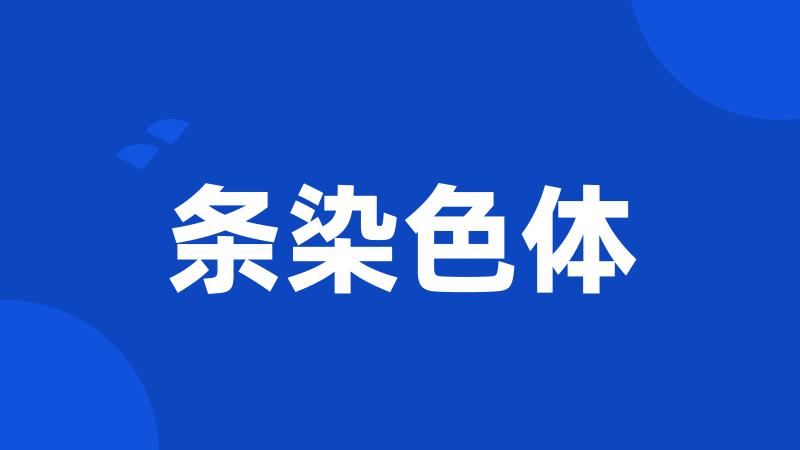 条染色体