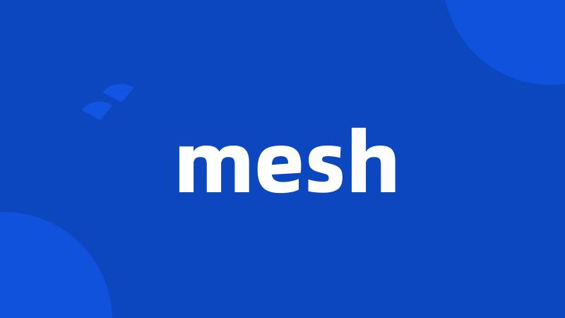 mesh