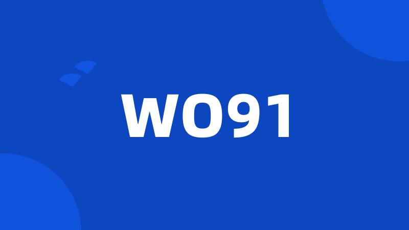 WO91