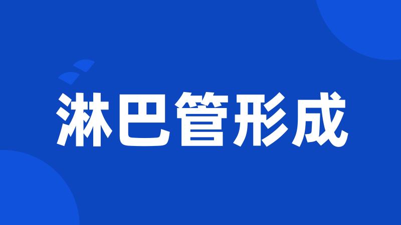 淋巴管形成