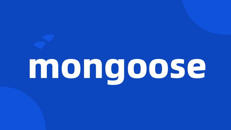 mongoose