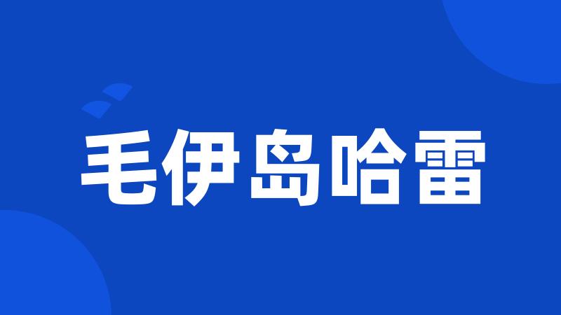 毛伊岛哈雷