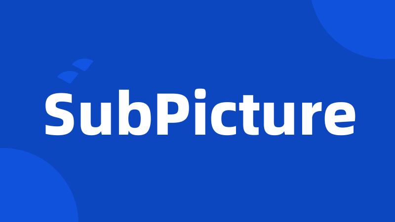 SubPicture