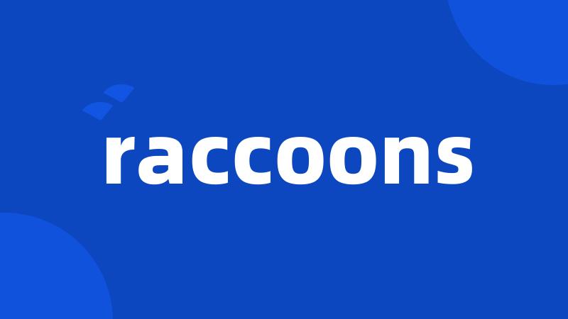 raccoons