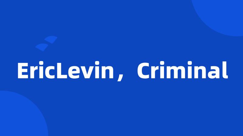 EricLevin，Criminal